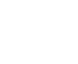 Flying Finn Academy