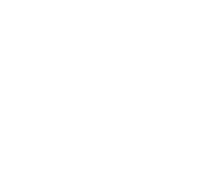 Flying Finn Shop