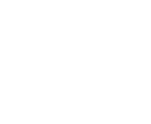 Flying Finn Future Star