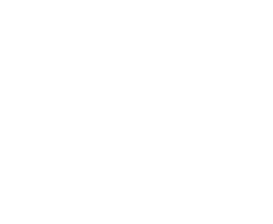 flyingfinntour